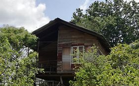 Sigiri Forest View